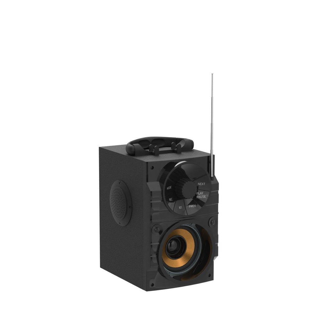 Portable Big Bluetooth Speakers with Light, Wireless with Subwoofer, FM Radio, LED Lights, EQ, Booming Bass, Bluetooth 4.2 Stereo Loud Outdoor/Indoor Retro, for Home, Camping, Travel, Black B96162