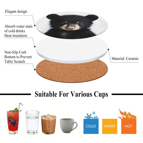 4Pcs Ceramic Coasters with Metal Holder I69363