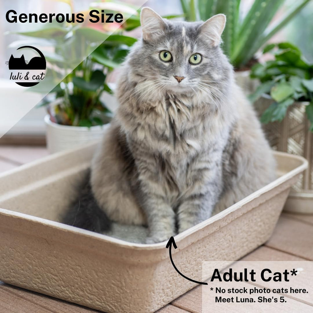 Disposable Litter Boxes 4-Pack G1711
