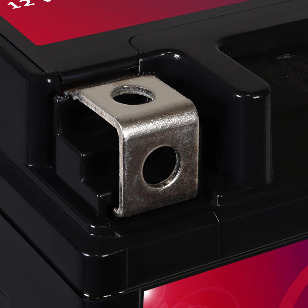 12v 11.2Ah 230CCA Battery P12676