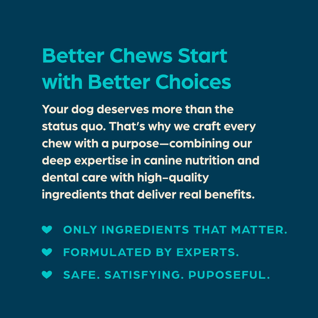 Fresh Mint Flavor Dental Chews, 13 Count G4240