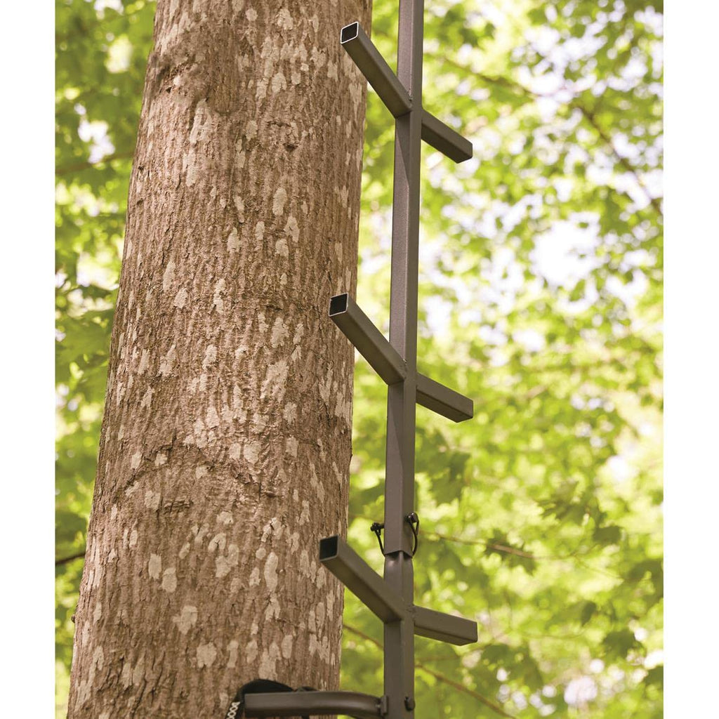 Full Step Climbing Stick Ladder F63579