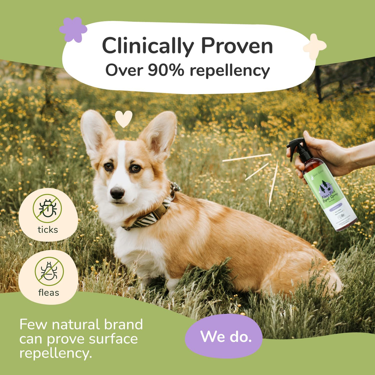 Lavender Mint Dog Coat Spray 12 fl oz O904
