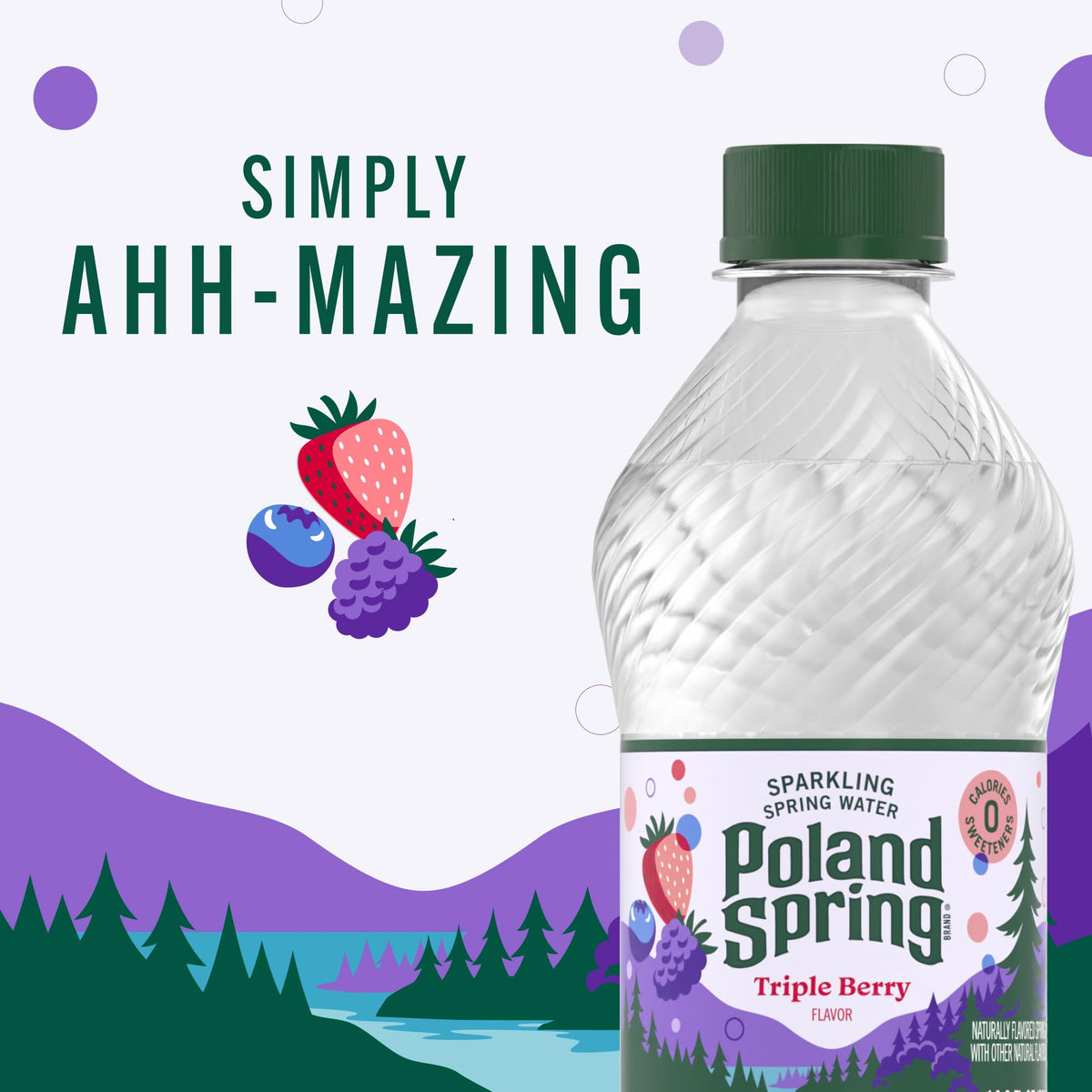 Sparkling Bottled Water 33.8 Fl Oz U6254