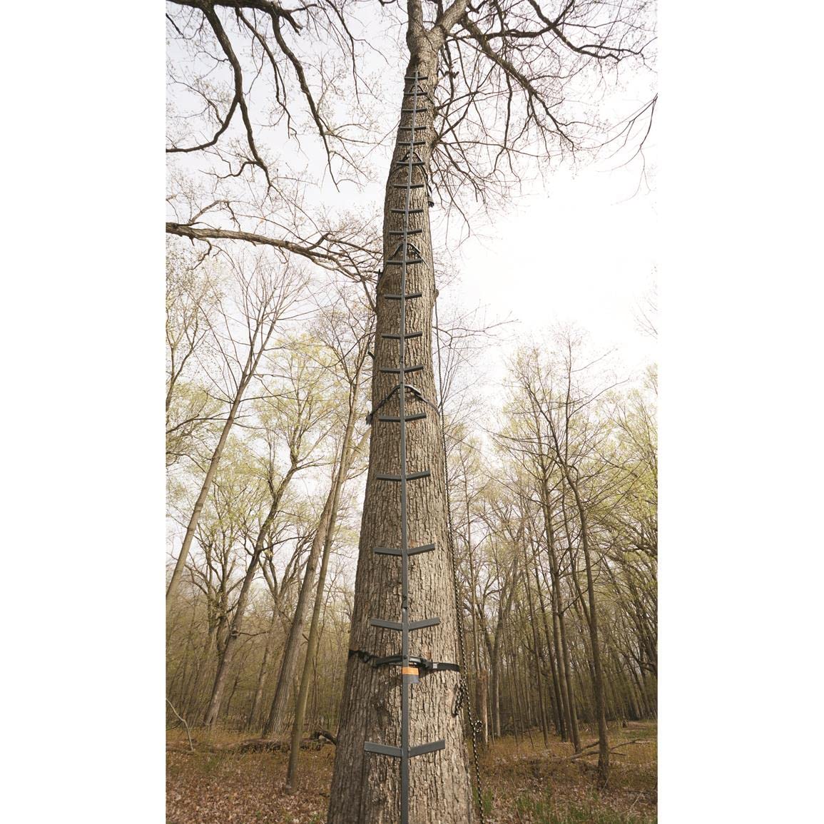 Full Step Climbing Stick Ladder F63579