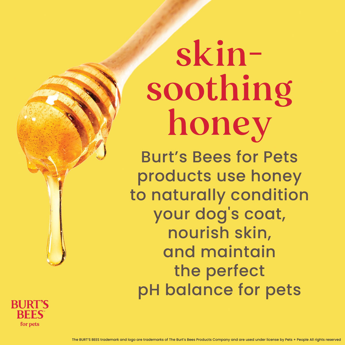 Oatmeal Dog Shampoo with Honey, Unscented, 16 Fl Oz W44901