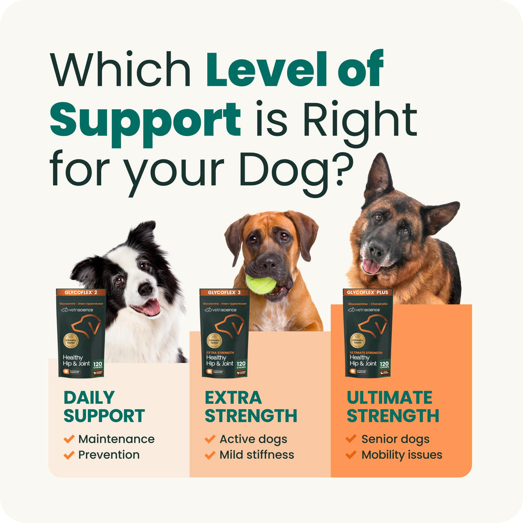 Healthy Hip & Joint for Dogs, Duck, 120ct V145542