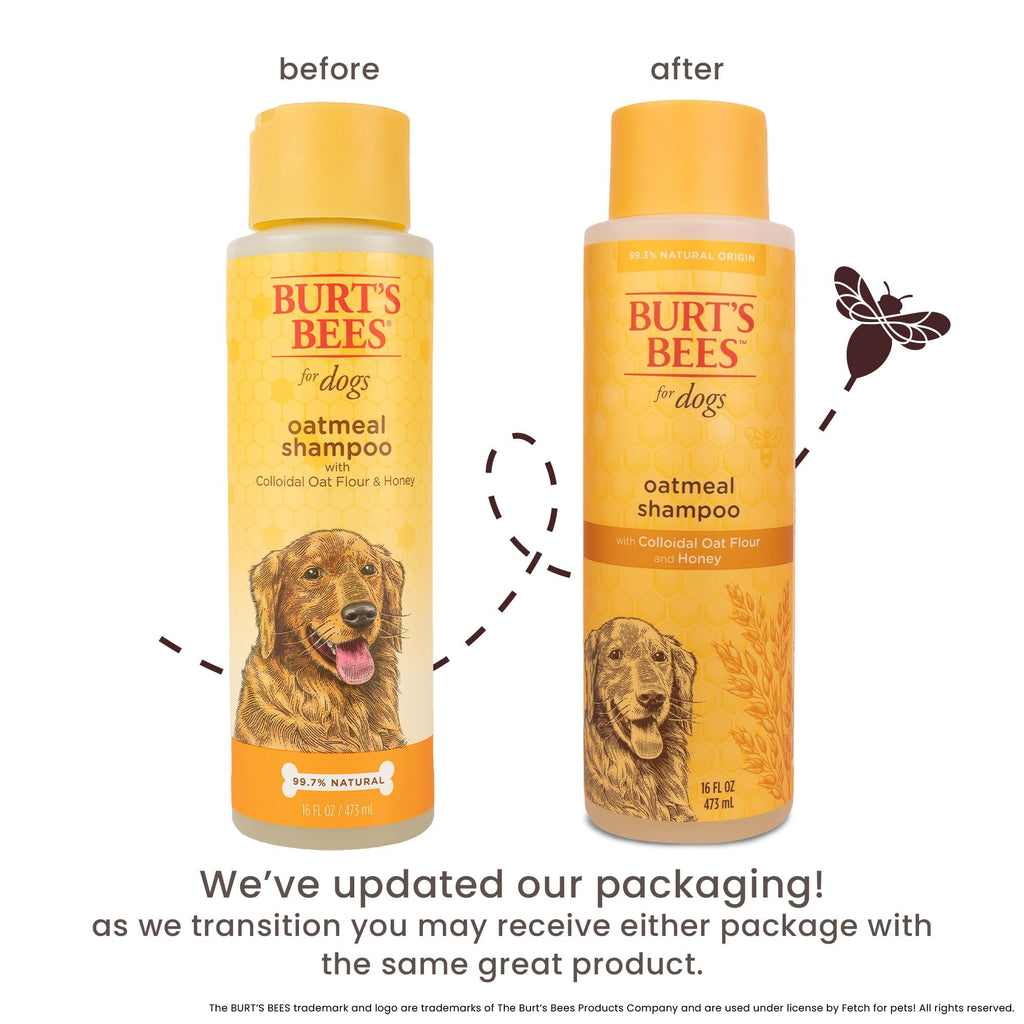 Oatmeal Dog Shampoo with Honey, Unscented, 16 Fl Oz W44901