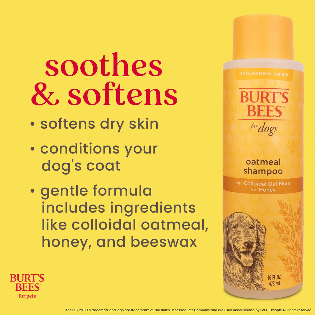 Oatmeal Dog Shampoo with Honey, Unscented, 16 Fl Oz W44901