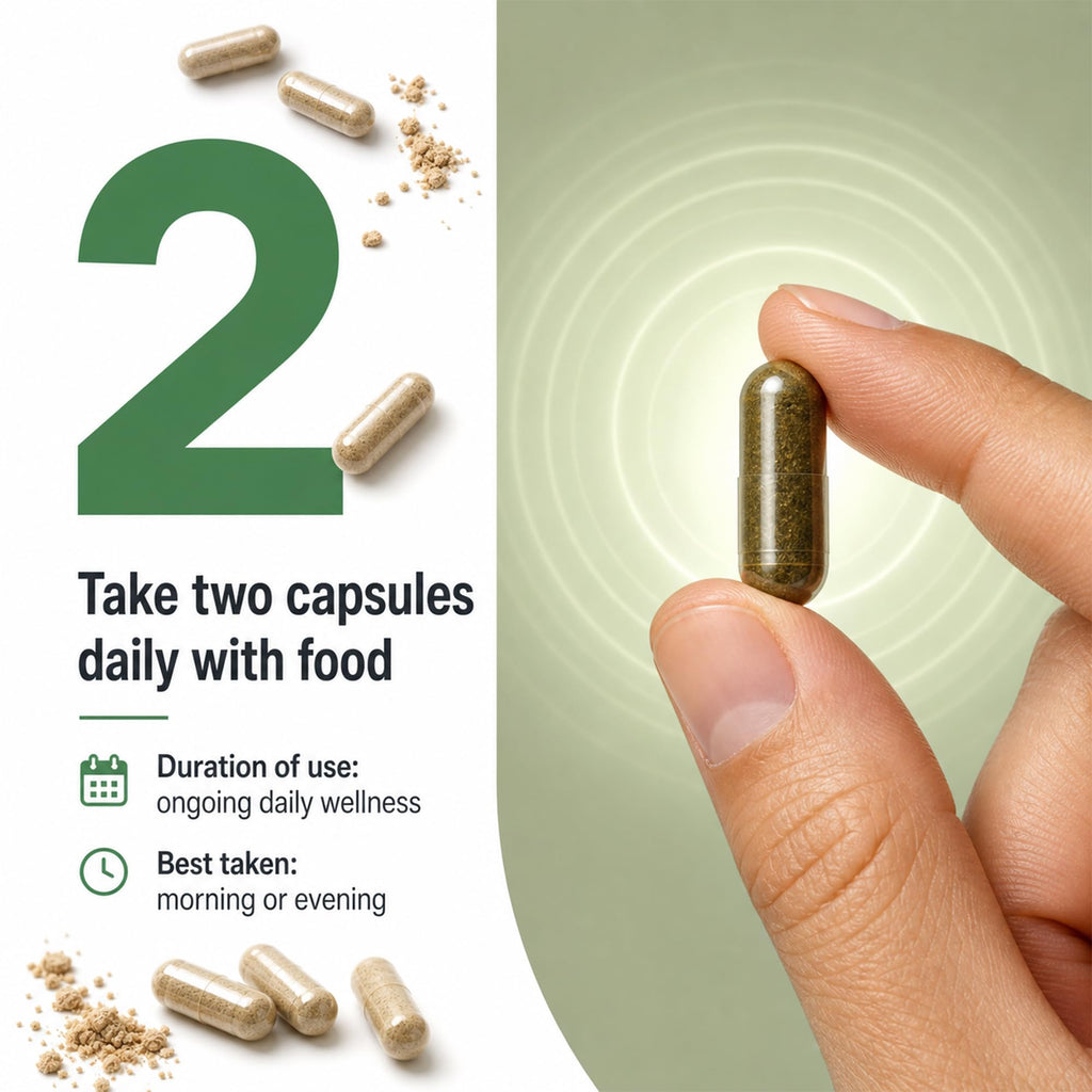 Ashwagandha 1000mg Supplement 120 Capsules S79500