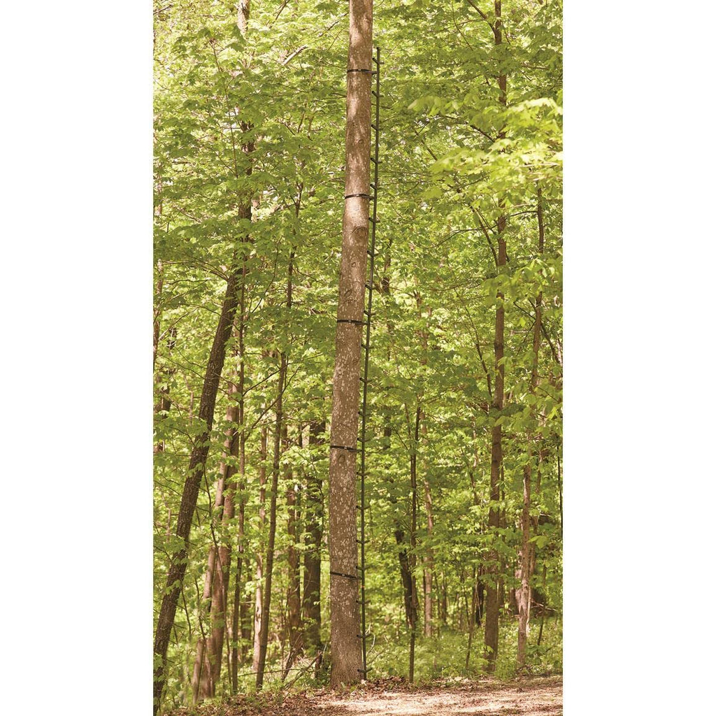 Full Step Climbing Stick Ladder F63579