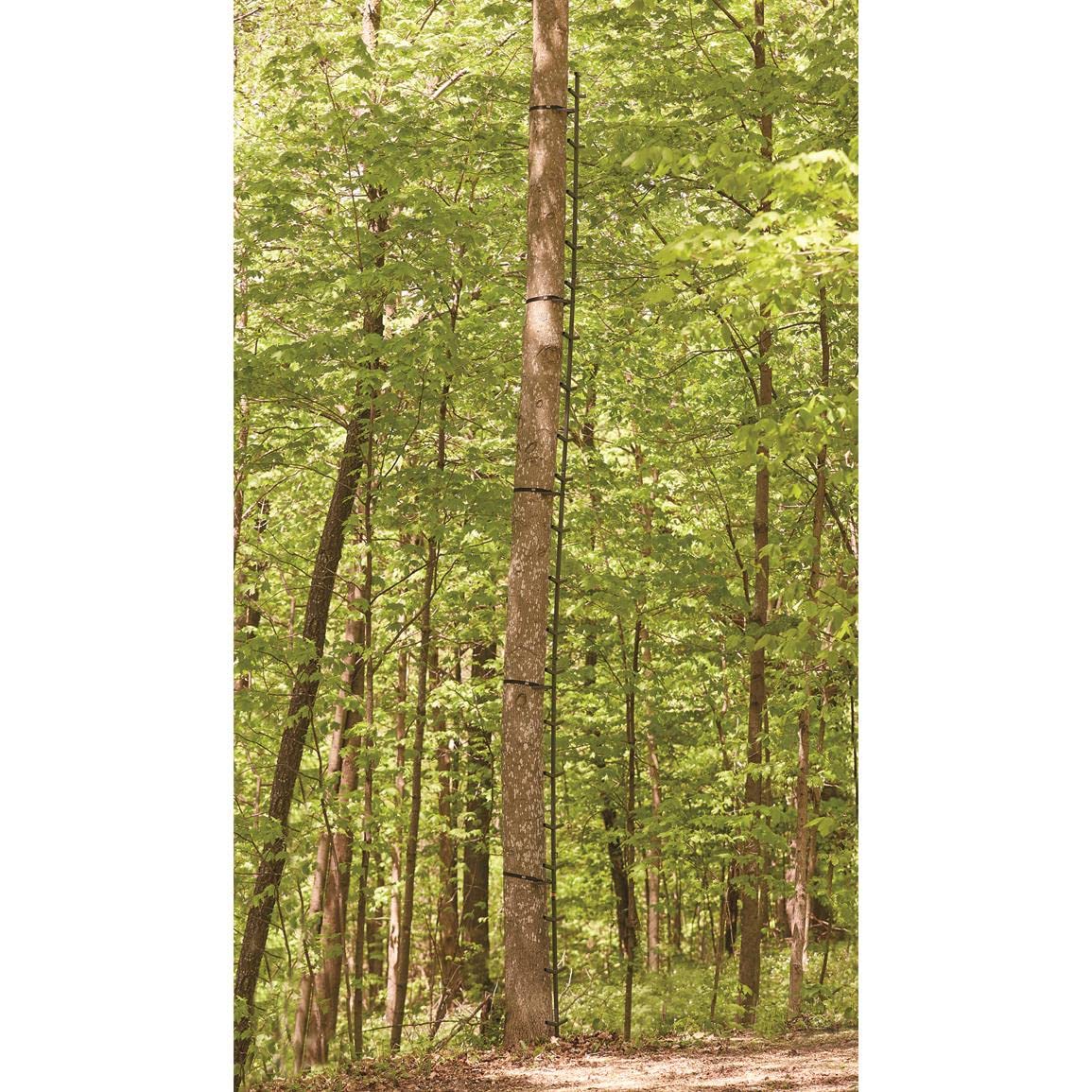 Full Step Climbing Stick Ladder F63579