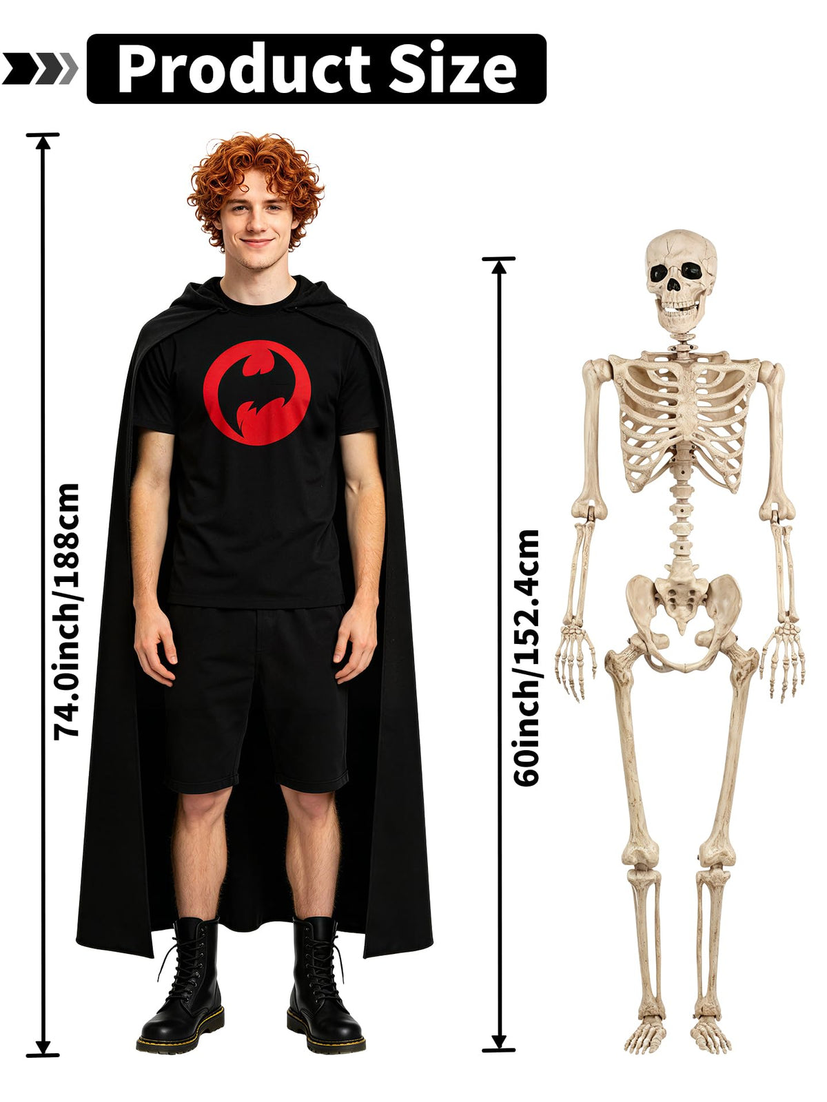 Life Size Posable Skeleton with Movable Joints O701