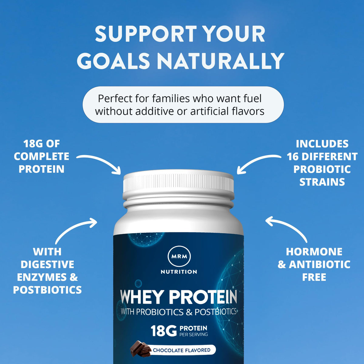 Whey Protein Chocolate 16 Servings U56152