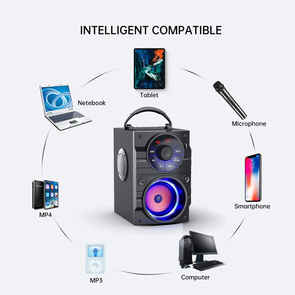 Portable Big Bluetooth Speakers with Light, Wireless with Subwoofer, FM Radio, LED Lights, EQ, Booming Bass, Bluetooth 4.2 Stereo Loud Outdoor/Indoor Retro, for Home, Camping, Travel, Black B96162