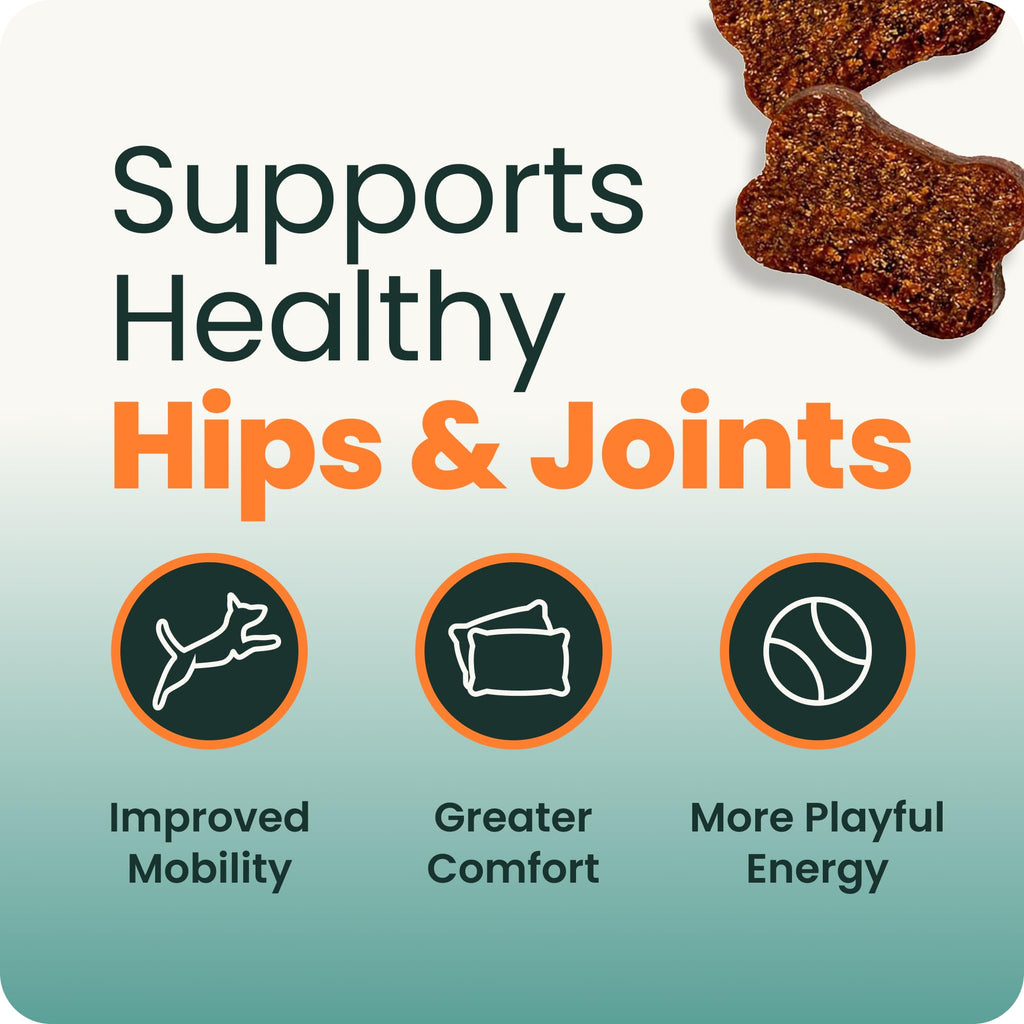 Healthy Hip & Joint for Dogs, Duck, 120ct V145542