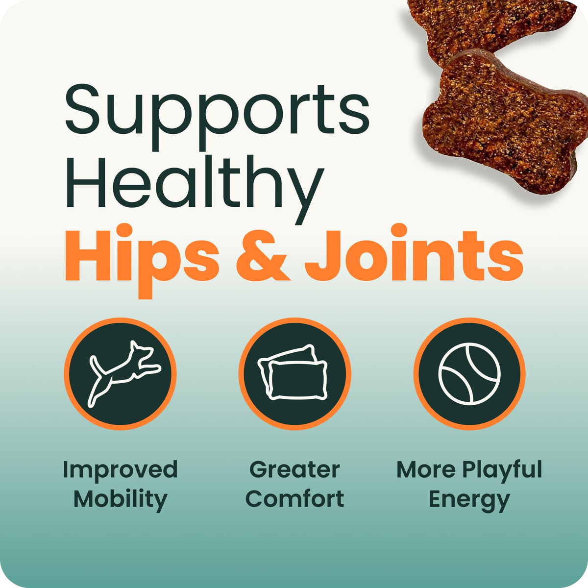 Healthy Hip & Joint for Dogs, Duck, 120ct V145542