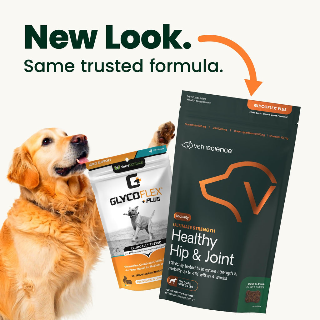 Healthy Hip & Joint for Dogs, Duck, 120ct V145542