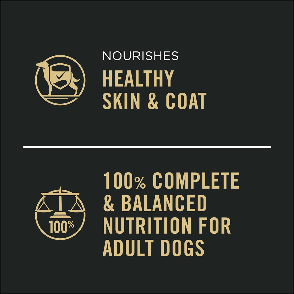 Wet Dog Food Variety Pack 13 oz N79410