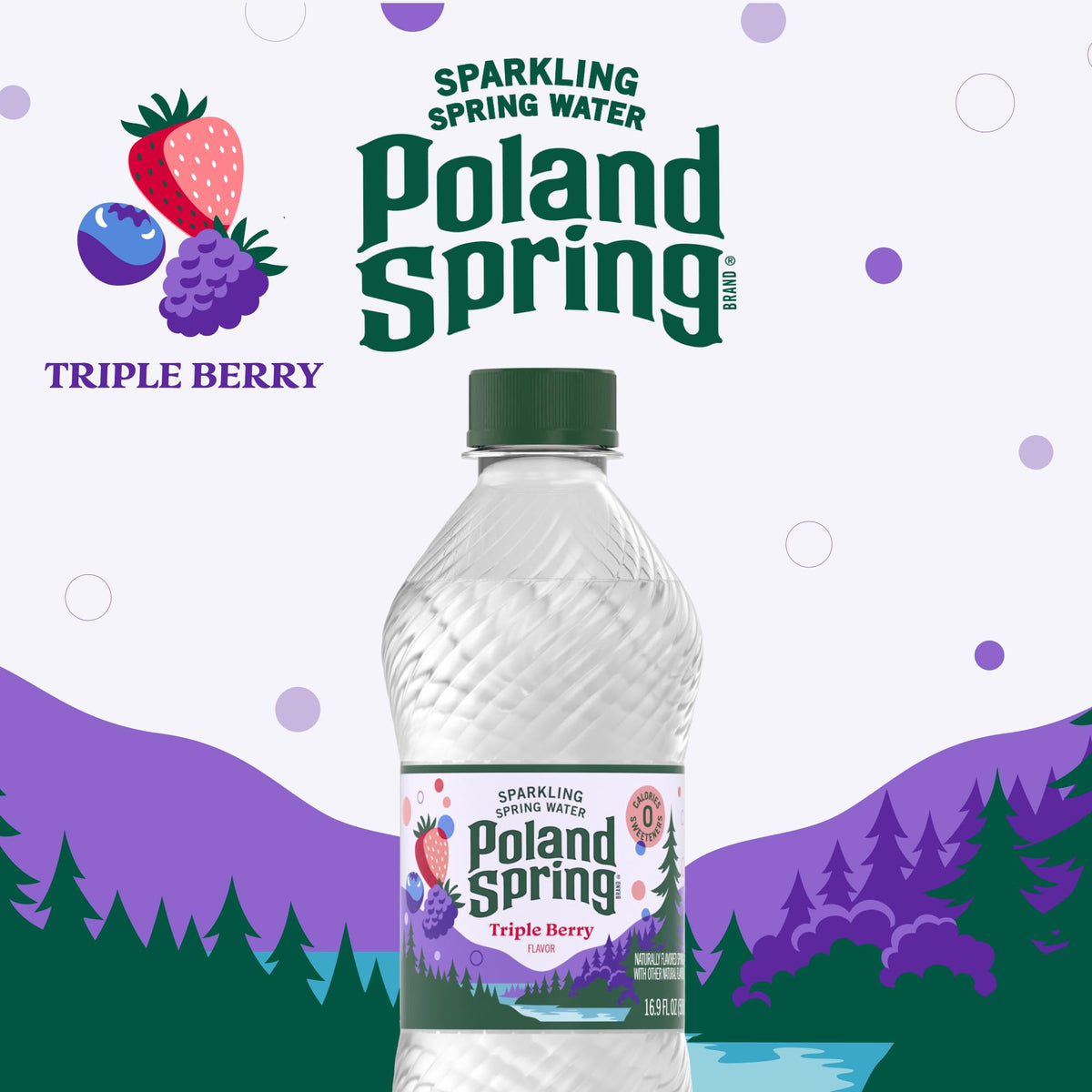 Sparkling Bottled Water 33.8 Fl Oz U6254