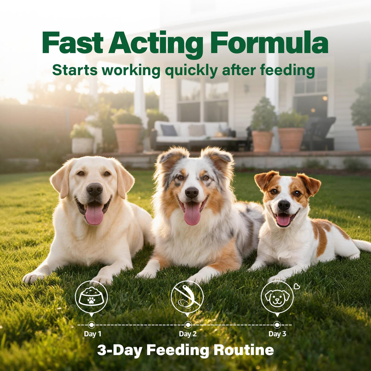 Dewormer for Dogs 50 g O1758