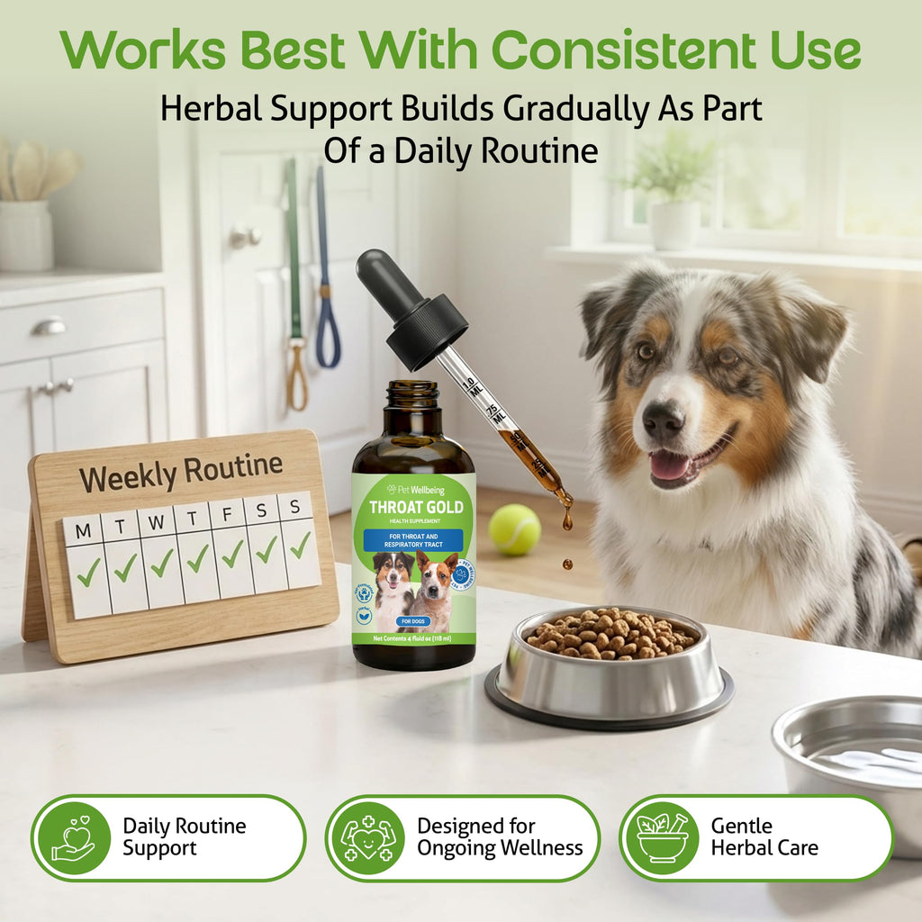 Throat Discomfort & Immune Care for Dogs, 4 oz X34273