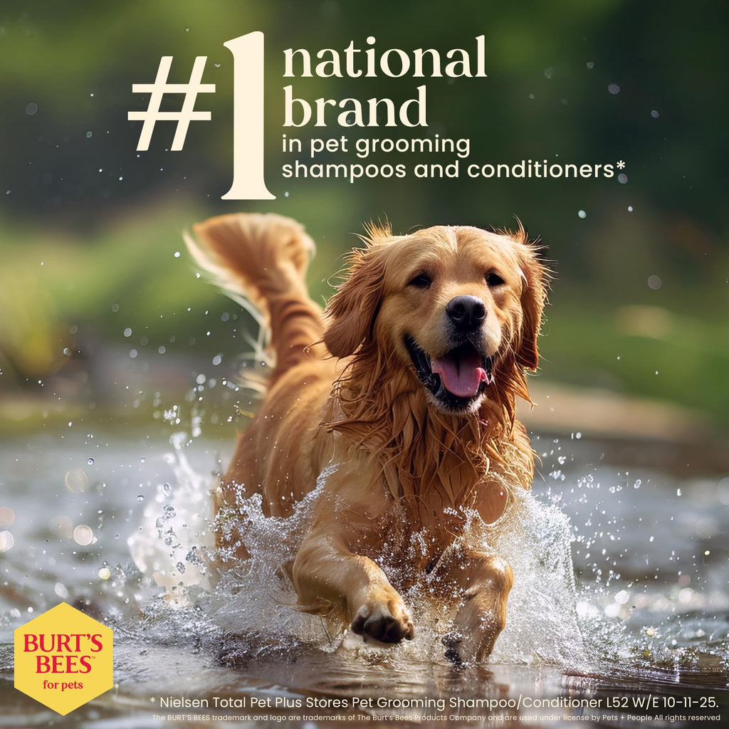 Oatmeal Dog Shampoo with Honey, Unscented, 16 Fl Oz W44901