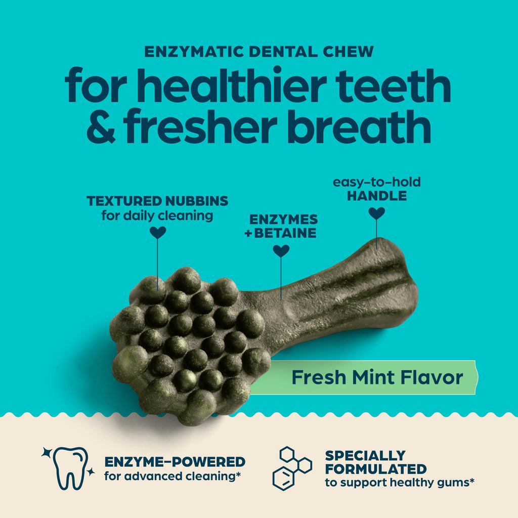 Fresh Mint Flavor Dental Chews, 13 Count G4240
