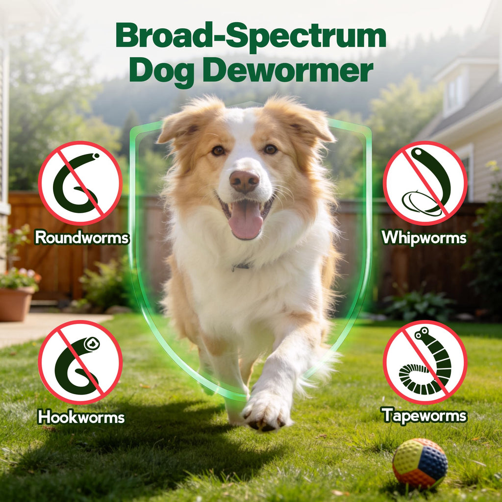 Dewormer for Dogs 50 g O1758