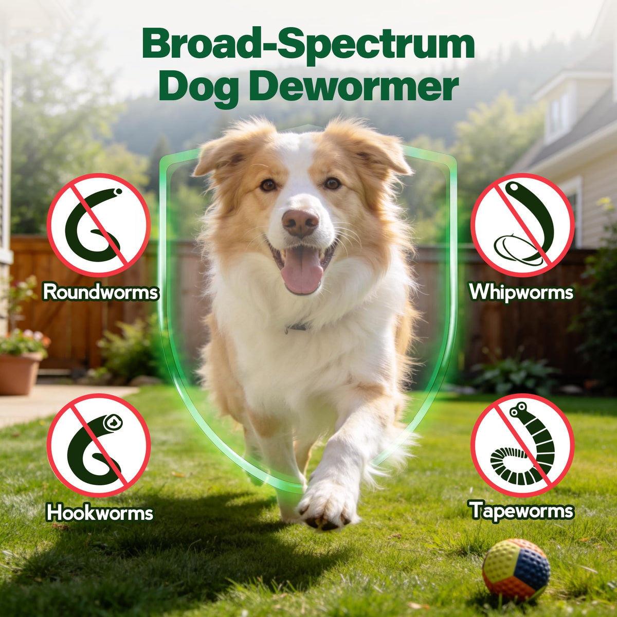 Dewormer for Dogs 50 g O1758