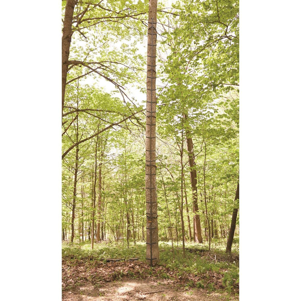 Full Step Climbing Stick Ladder F63579