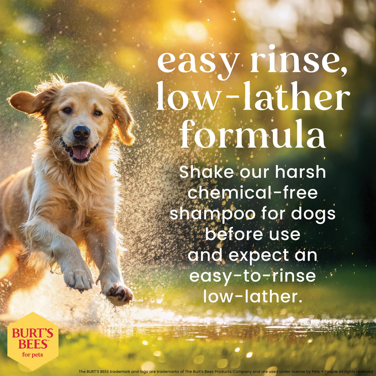 Oatmeal Dog Shampoo with Honey, Unscented, 16 Fl Oz W44901