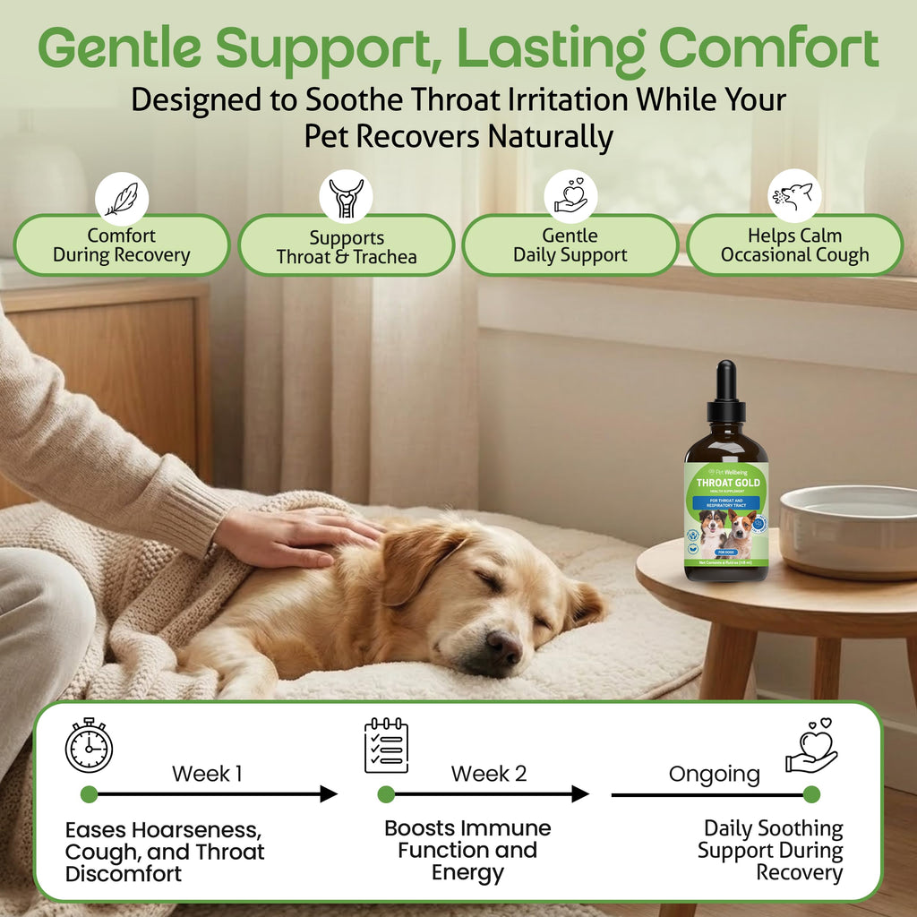 Throat Discomfort & Immune Care for Dogs, 4 oz X34273