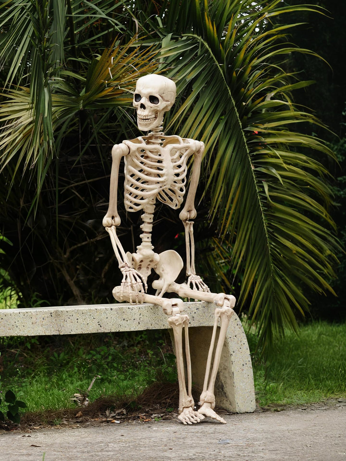 Life Size Posable Skeleton with Movable Joints O701
