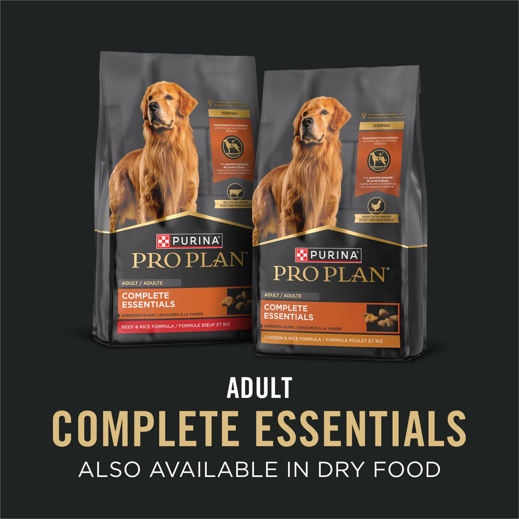 Wet Dog Food Variety Pack 13 oz N79410