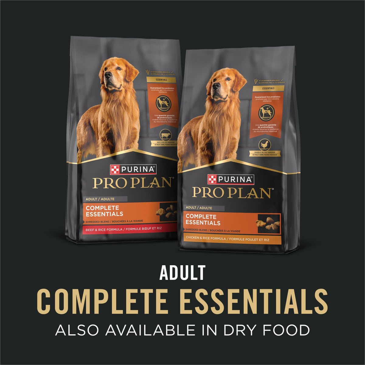 Wet Dog Food Variety Pack 13 oz N79410