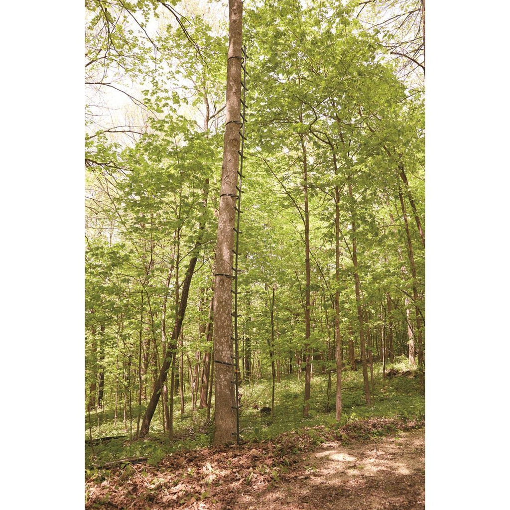 Full Step Climbing Stick Ladder F63579