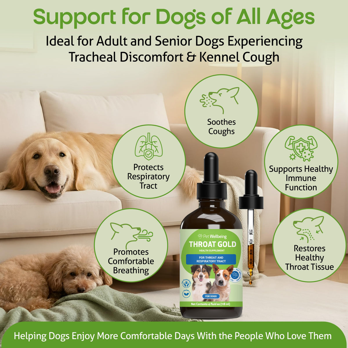 Throat Discomfort & Immune Care for Dogs, 4 oz X34273
