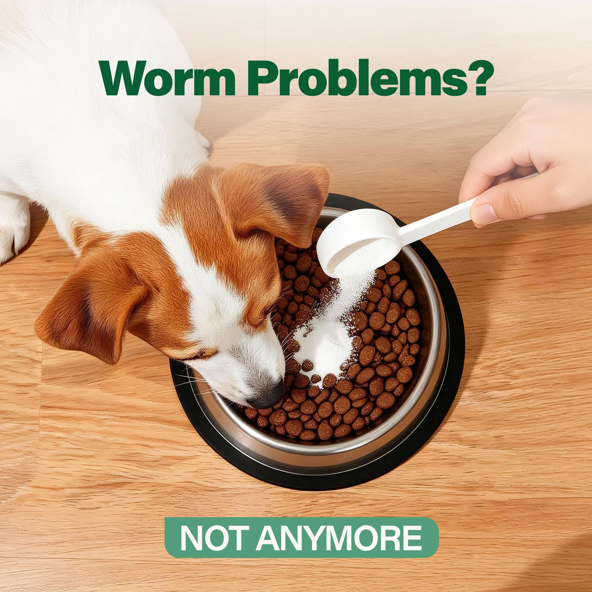 Dewormer for Dogs 50 g O1758