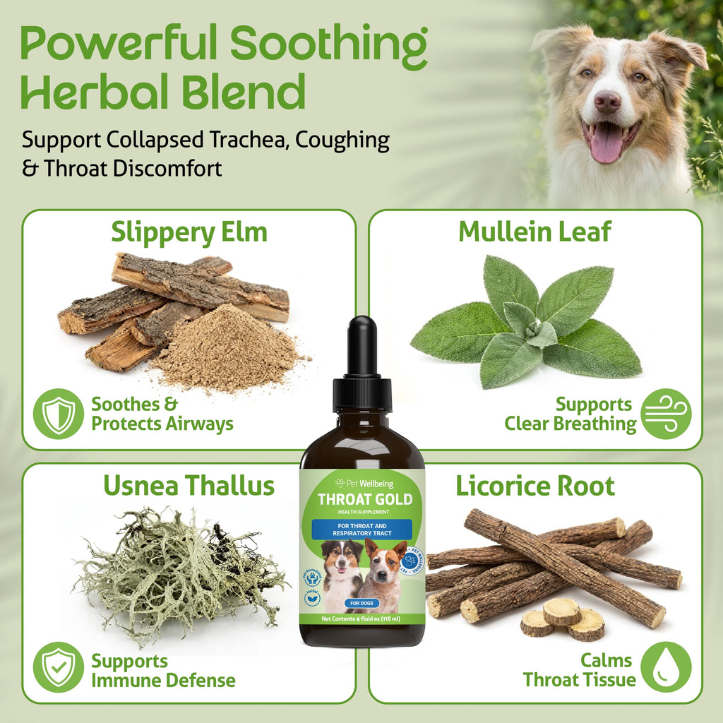 Throat Discomfort & Immune Care for Dogs, 4 oz X34273