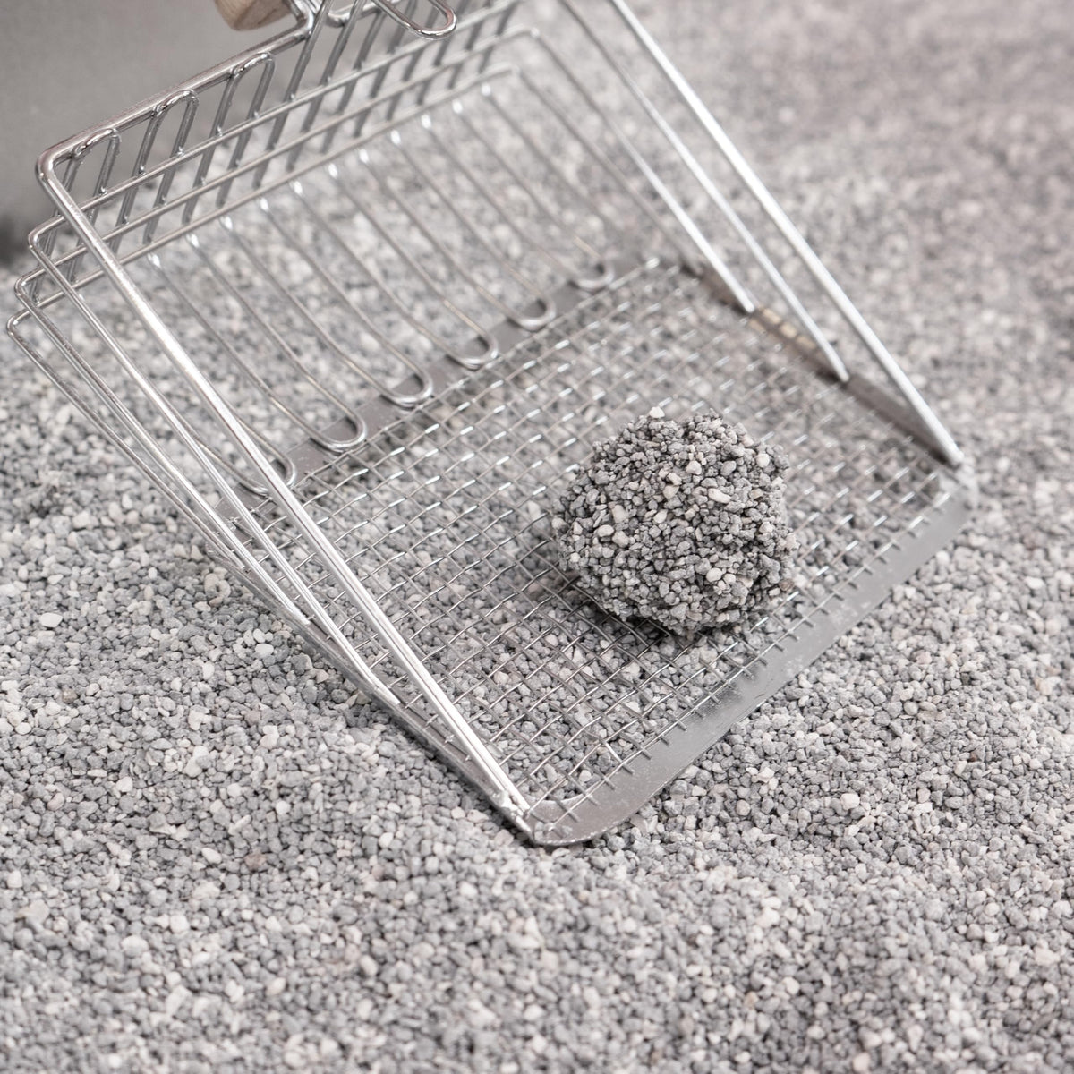 Unscented Clumping Bentonite Clay Cat Litter Set of 2 Z39090